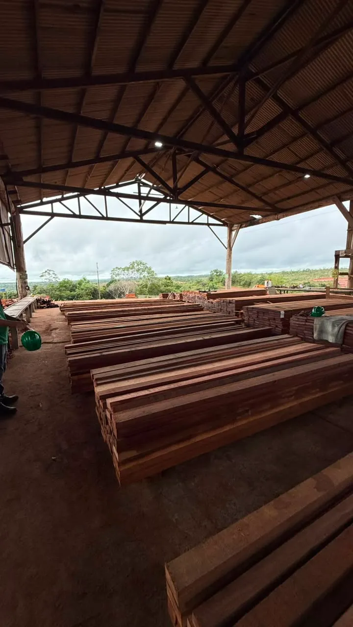 Sawn Timber (1)