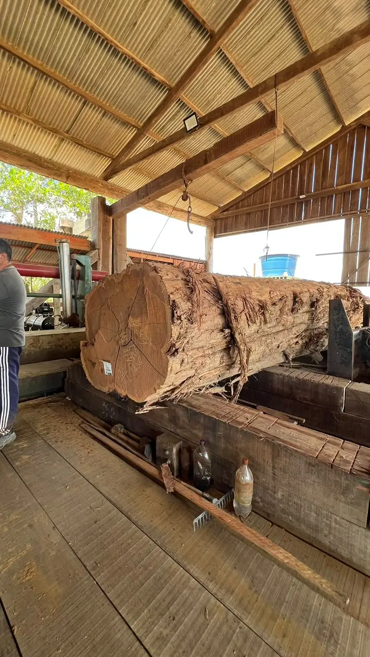 amaz timber (1)