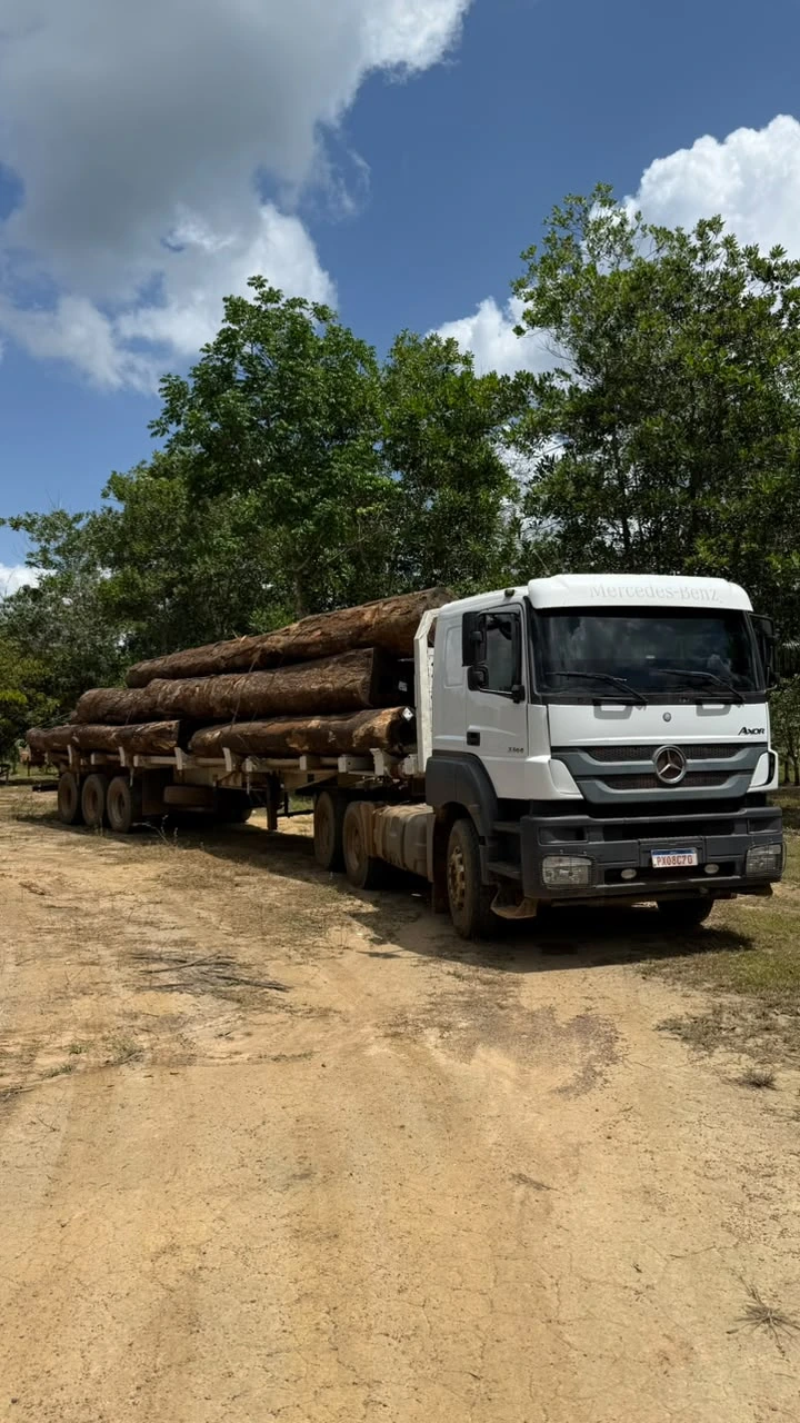 HMB Florestal madeiras (7)